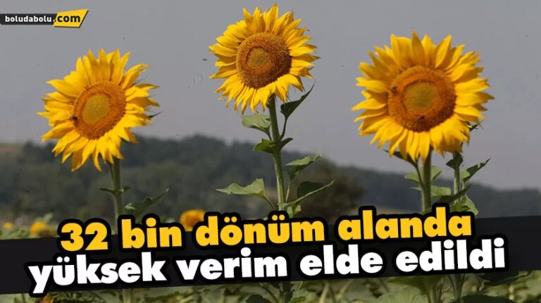 SERTİFİKALI TOHUM EKİLDİ