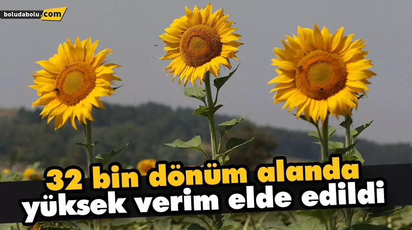 SERTİFİKALI TOHUM EKİLDİ