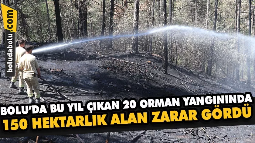 Bolu’da bu yıl çıkan 20 orman yangınında 150 hektarlık alan zarar gördü Bolu’da bu yıl çıkan 20 orman yangınında 150 hektarlık alan zarar gördü