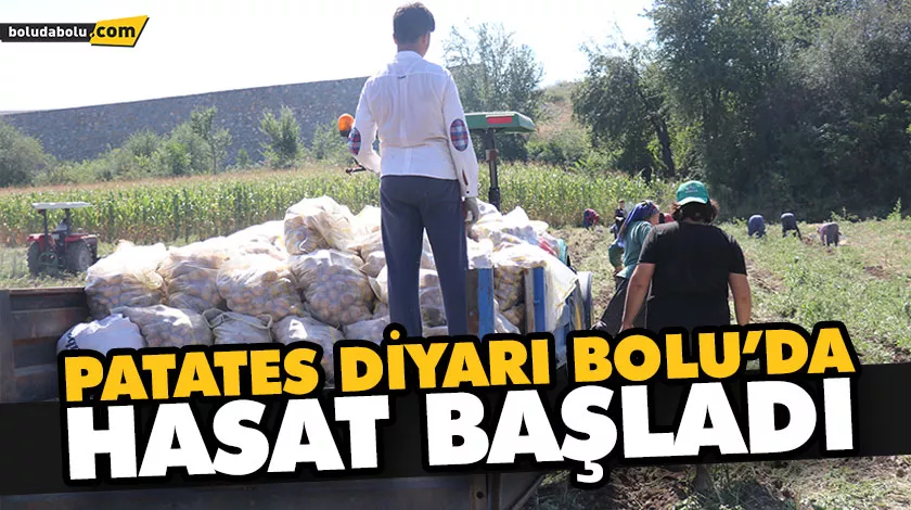 PATATES DİYARI BOLU’DA HASAT BAŞLADI PATATES DİYARI BOLU’DA HASAT BAŞLADI