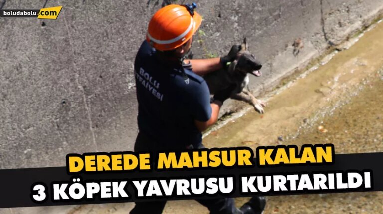 DEREDE MAHSUR KALAN 3 KÖPEK YAVRUSU KURTARILDI