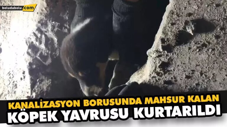 KANALİZASYON BORUSUNDA MAHSUR KALAN KÖPEK YAVRUSU KURTARILDI