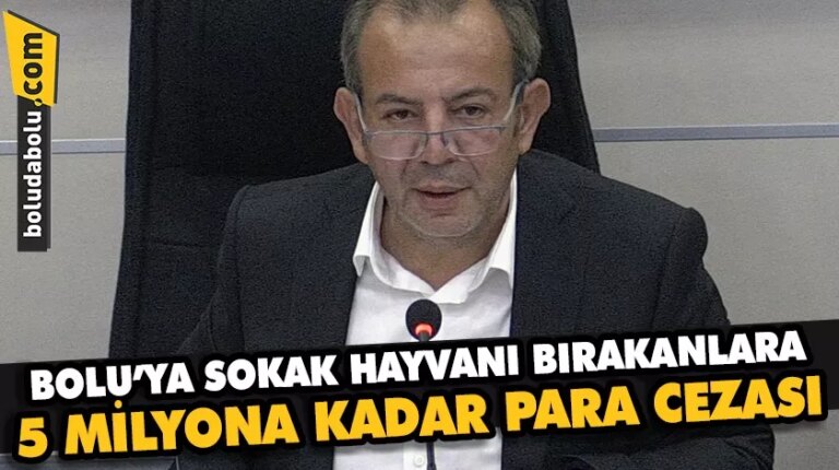 Bolu’ya sokak hayvanı bırakanlara 5 milyona kadar para cezası uygulanacak