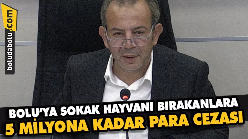 Bolu’ya sokak hayvanı bırakanlara 5 milyona kadar para cezası uygulanacak Bolu’ya sokak hayvanı bırakanlara 5 milyona kadar para cezası uygulanacak
