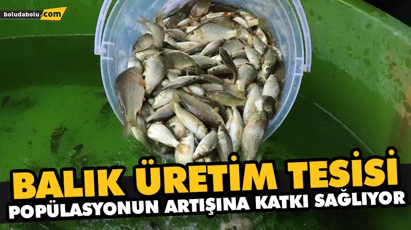 BALIK ÜRETİM TESİSİ POPÜLASYONUN ARTIŞINA KATKI SAĞLIYOR BALIK ÜRETİM TESİSİ POPÜLASYONUN ARTIŞINA KATKI SAĞLIYOR