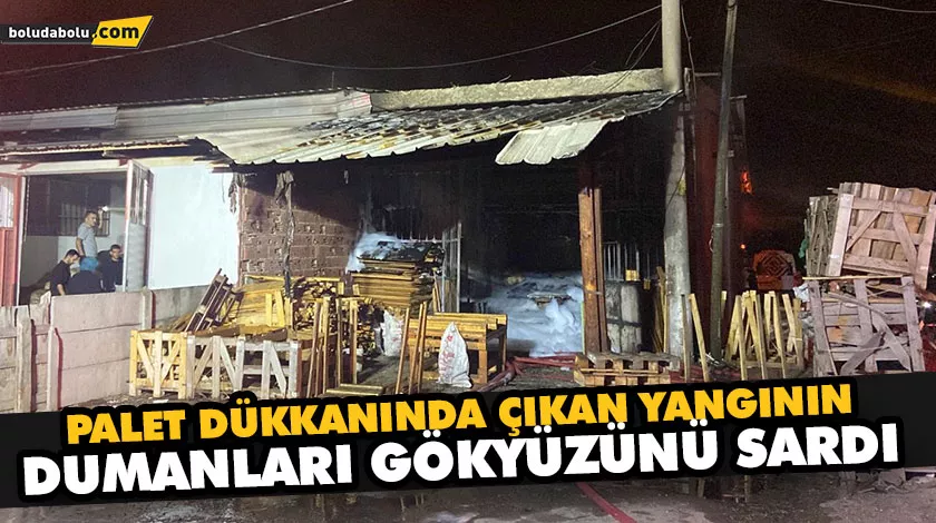 PALET DÜKKANINDA ÇIKAN YANGININ DUMANLARI GÖKYÜZÜNÜ SARDI