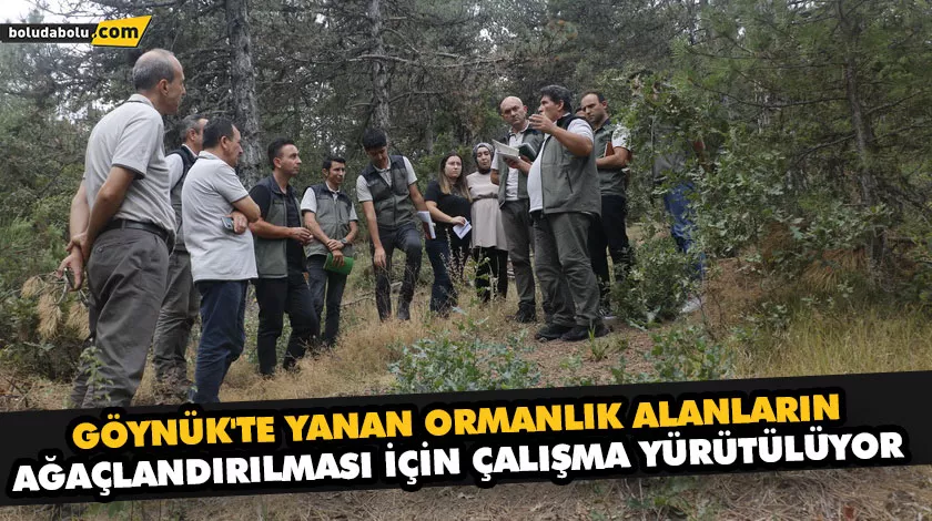 GÖYNÜK’TE YANAN ORMANLIK ALANLARIN AĞAÇLANDIRILMASI İÇİN ÇALIŞMA YÜRÜTÜLÜYOR