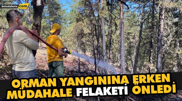 Orman yangınına erken müdahale felaketi önledi