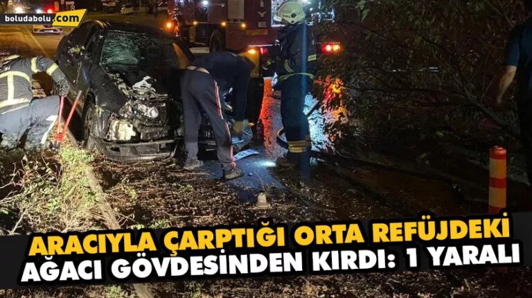 Aracıyla çarptığı orta refüjdeki ağacı gövdesinden kırdı: 1 yaralı