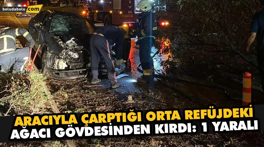 Aracıyla çarptığı orta refüjdeki ağacı gövdesinden kırdı: 1 yaralı Aracıyla çarptığı orta refüjdeki ağacı gövdesinden kırdı: 1 yaralı