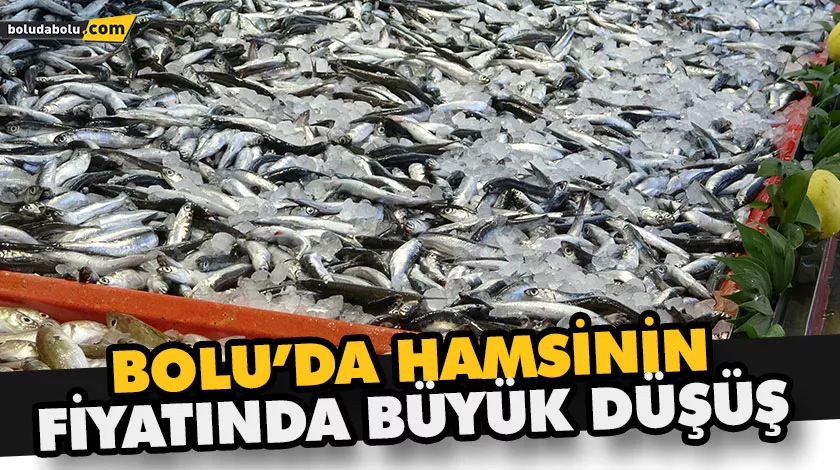 BOLU’DA HAMSİNİN FİYATINDA BÜYÜK DÜŞÜŞ