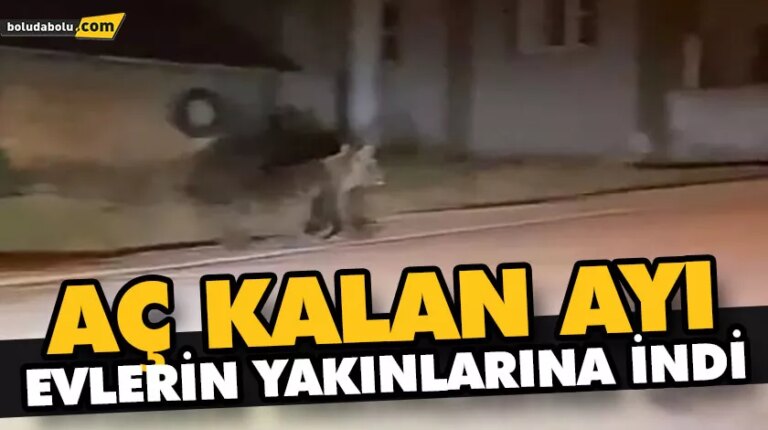 AÇ KALAN AYI EVLERİN YAKINLARINA İNDİ