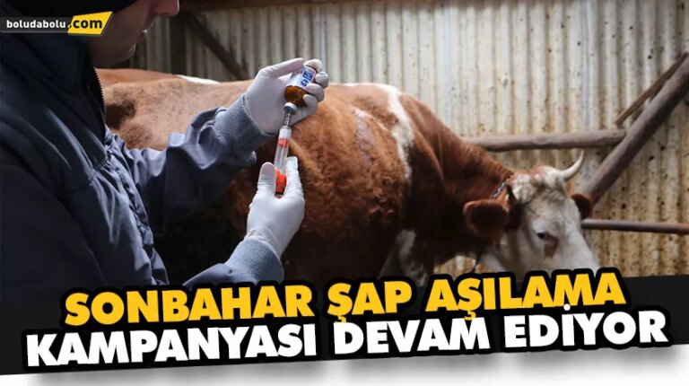 SONBAHAR ŞAP AŞILAMA KAMPANYASI DEVAM EDİYOR