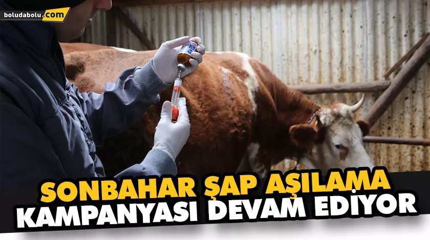 SONBAHAR ŞAP AŞILAMA KAMPANYASI DEVAM EDİYOR
