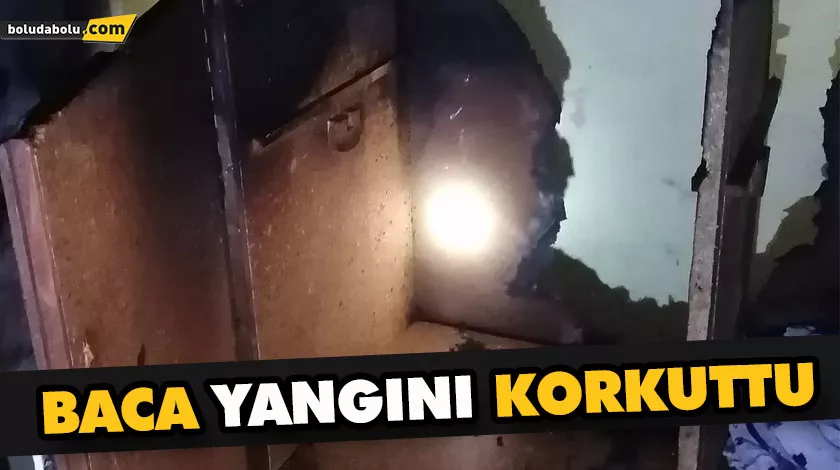 BACA YANGINI KORKUTTU BACA YANGINI KORKUTTU