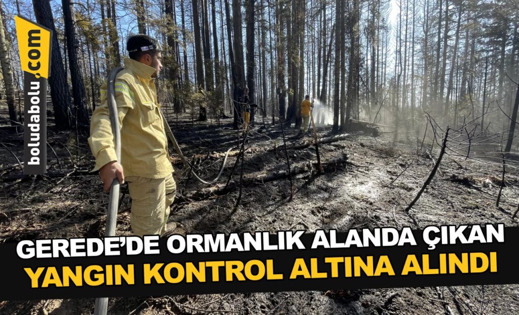 Gerede ve Kızılcahamam’da ormanlık alanda çıkan yangın kontrol altına alındı Gerede ve Kızılcahamam’da ormanlık alanda çıkan yangın kontrol altına alındı