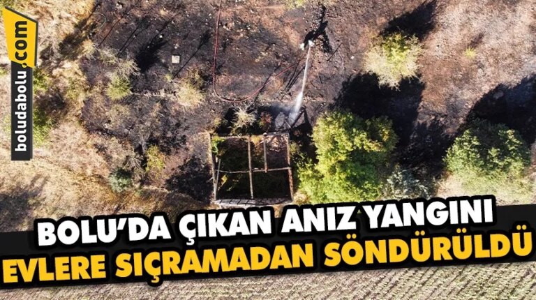 Bolu’da çıkan anız yangını evlere sıçramadan söndürüldü