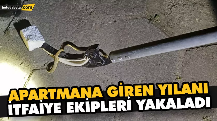 APARTMANA GİREN YILANI İTFAİYE EKİPLERİ YAKALADI