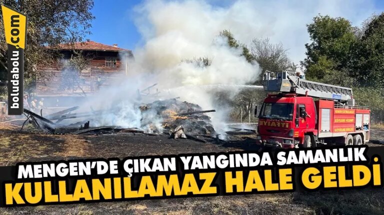 Mengen’de çıkan yangında samanlık kullanılamaz hale geldi