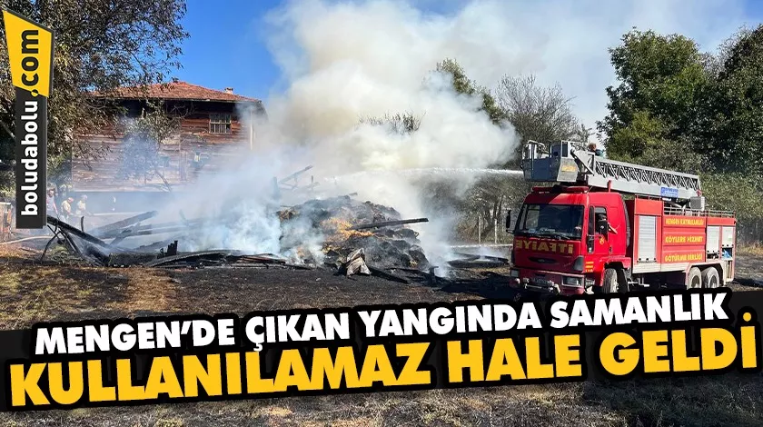 Mengen’de çıkan yangında samanlık kullanılamaz hale geldi Mengen’de çıkan yangında samanlık kullanılamaz hale geldi