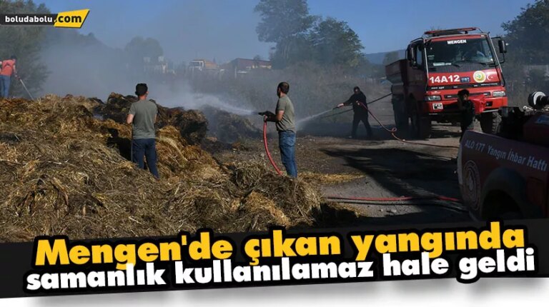 Mengen’de çıkan yangında samanlık kullanılamaz hale geldi