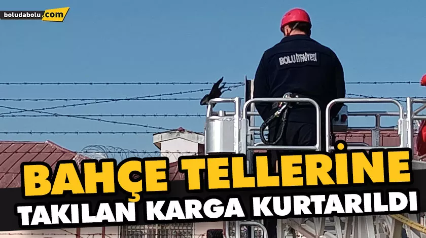 Bahçe tellerine takılan karga kurtarıldı Bahçe tellerine takılan karga kurtarıldı