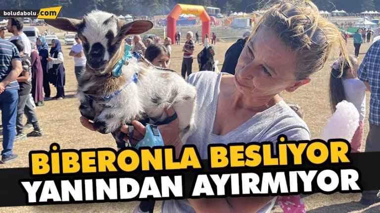 ANNE KEÇİNİN SAHİPLENMEDİĞİ OĞLAĞI YANINDAN AYIRMIYOR