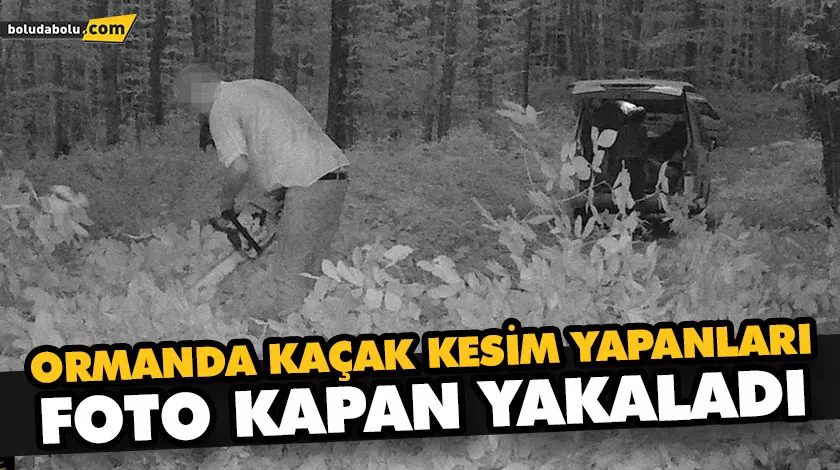 ORMANDA KAÇAK KESİM YAPANLARI, FOTO KAPAN YAKALADI