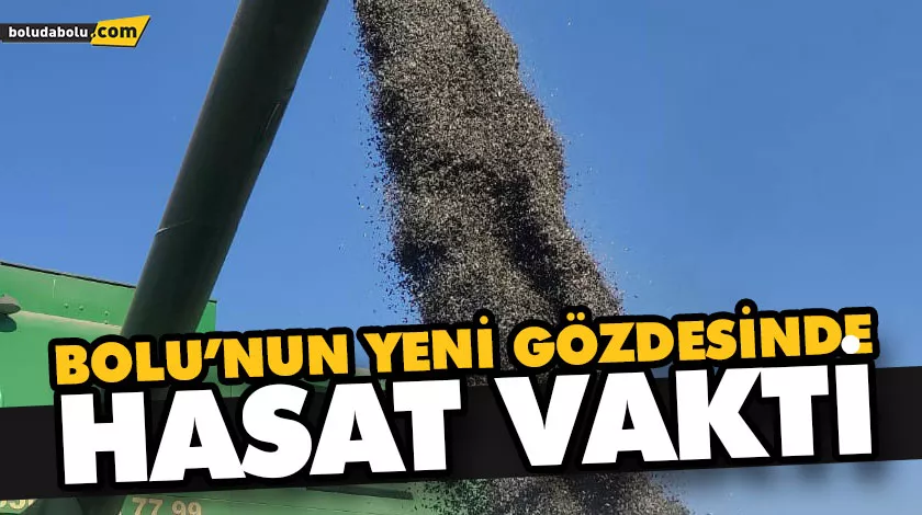 BOLU’NUN YENİ GÖZDESİNDE HASAT VAKTİ BOLU’NUN YENİ GÖZDESİNDE HASAT VAKTİ