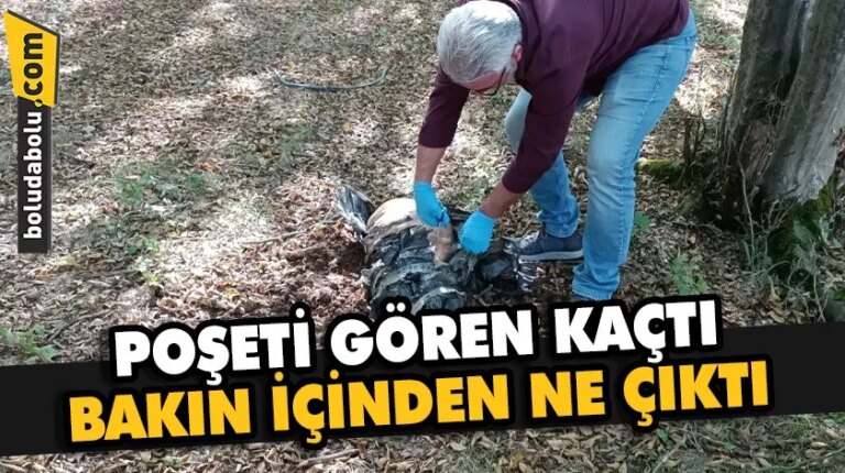 Bolu’da bantlanmış poşet içinde köpek ölüsü bulundu