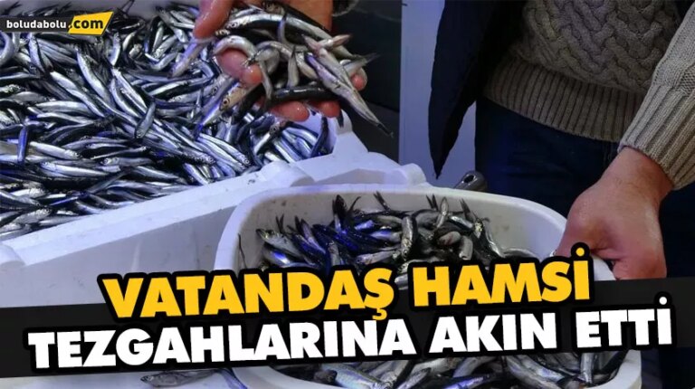 Vatandaş hamsi tezgahlarına akın etti