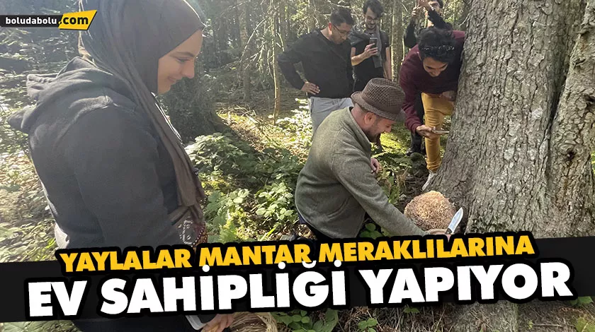 YAYLALAR MANTAR MERAKLILARINA EV SAHİPLİĞİ YAPIYOR YAYLALAR MANTAR MERAKLILARINA EV SAHİPLİĞİ YAPIYOR