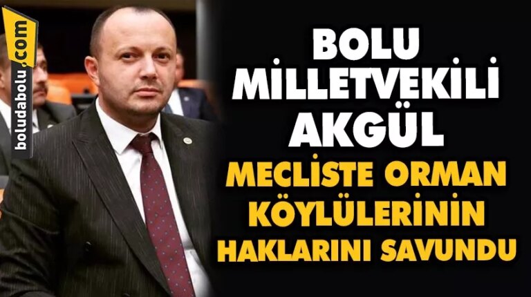 Bolu Milletvekili Akgül, Mecliste orman köylülerin haklarını savundu