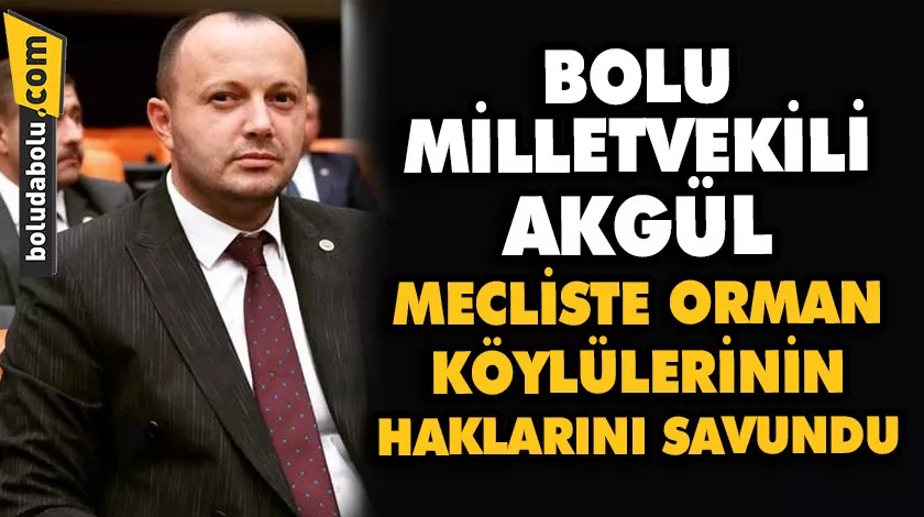 Bolu Milletvekili Akgül, Mecliste orman köylülerin haklarını savundu