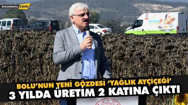 BOLU’NUN YENİ GÖZDESİ ‘YAĞLIK AYÇİÇEĞİ’ 3 YILDA ÜRETİM 2 KATINA ÇIKTI