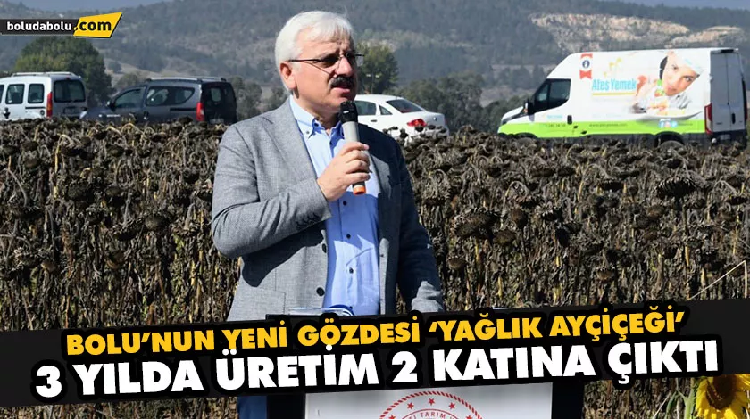BOLU’NUN YENİ GÖZDESİ ‘YAĞLIK AYÇİÇEĞİ’ 3 YILDA ÜRETİM 2 KATINA ÇIKTI