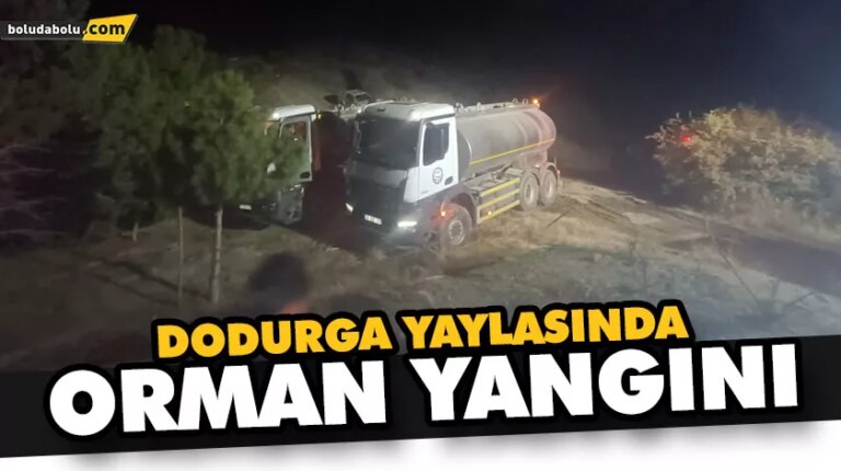 DODURGA YAYLASINDA ORMAN YANGINI