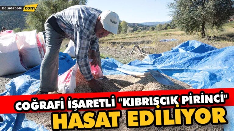 42 ÇİFTÇİ 325 DEKAR ALANDA EKİMİNİ YAPTI