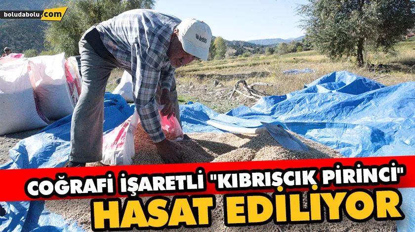 42 ÇİFTÇİ 325 DEKAR ALANDA EKİMİNİ YAPTI 42 ÇİFTÇİ 325 DEKAR ALANDA EKİMİNİ YAPTI