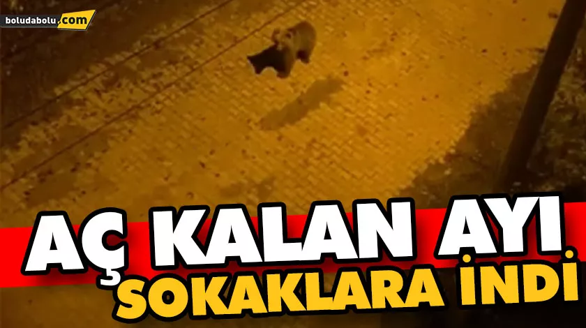 Yerleşim yerine inen ayı güvenlik kamerasıyla görüntülendi Yerleşim yerine inen ayı güvenlik kamerasıyla görüntülendi