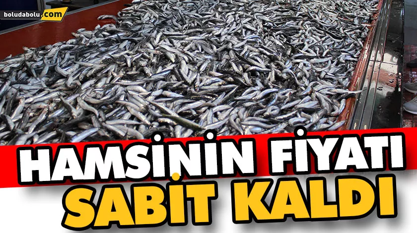 HAMSİNİN FİYATI SABİT KALDI HAMSİNİN FİYATI SABİT KALDI