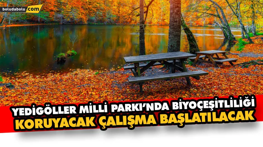 YEDİGÖLLER MİLLİ PARKI’NDA BİYOÇEŞİTLİLİĞİ KORUYACAK ÇALIŞMA BAŞLATILACAK YEDİGÖLLER MİLLİ PARKI’NDA BİYOÇEŞİTLİLİĞİ KORUYACAK ÇALIŞMA BAŞLATILACAK