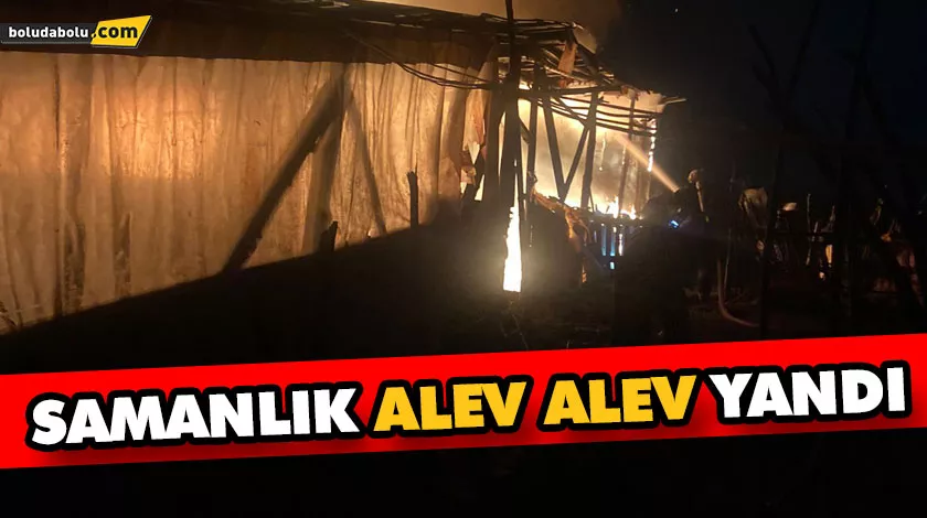 Bolu’da samanlık alev alev yandı Bolu’da samanlık alev alev yandı
