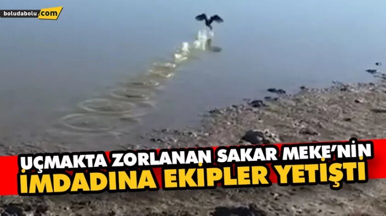 Uçmakta zorlanan sakar meke’nin imdadına ekipler yetişti