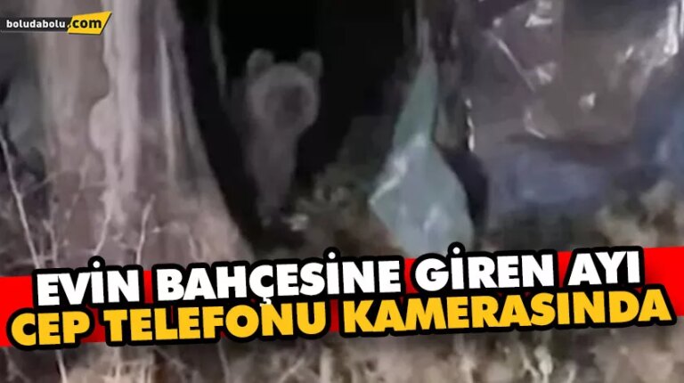 Evin bahçesine giren ayı cep telefonu kamerasında