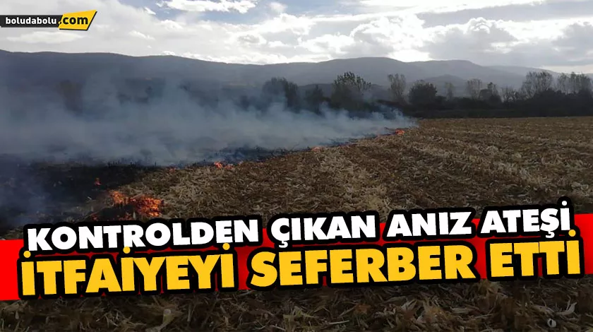 Kontrolden çıkan anız ateşi, itfaiyeyi seferber etti Kontrolden çıkan anız ateşi, itfaiyeyi seferber etti
