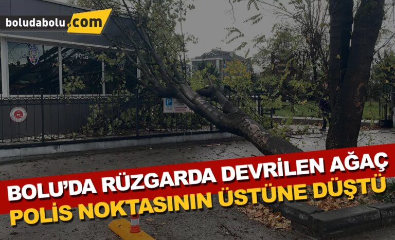 Bolu’da rüzgarda devrilen ağaç polis noktasının üzerine düştü
