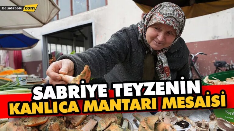 SABRİYE TEYZENİN KANLICA MANTARI MESAİSİ