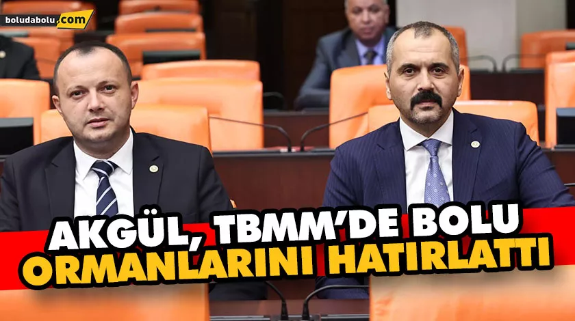 AKGÜL, TBMM’DE BOLU ORMANLARINI HATIRLATTI