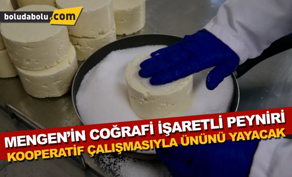 Mengen’in coğrafi işaretli peyniri, kooperatif çalışmasıyla ününü yayacak Mengen’in coğrafi işaretli peyniri, kooperatif çalışmasıyla ününü yayacak